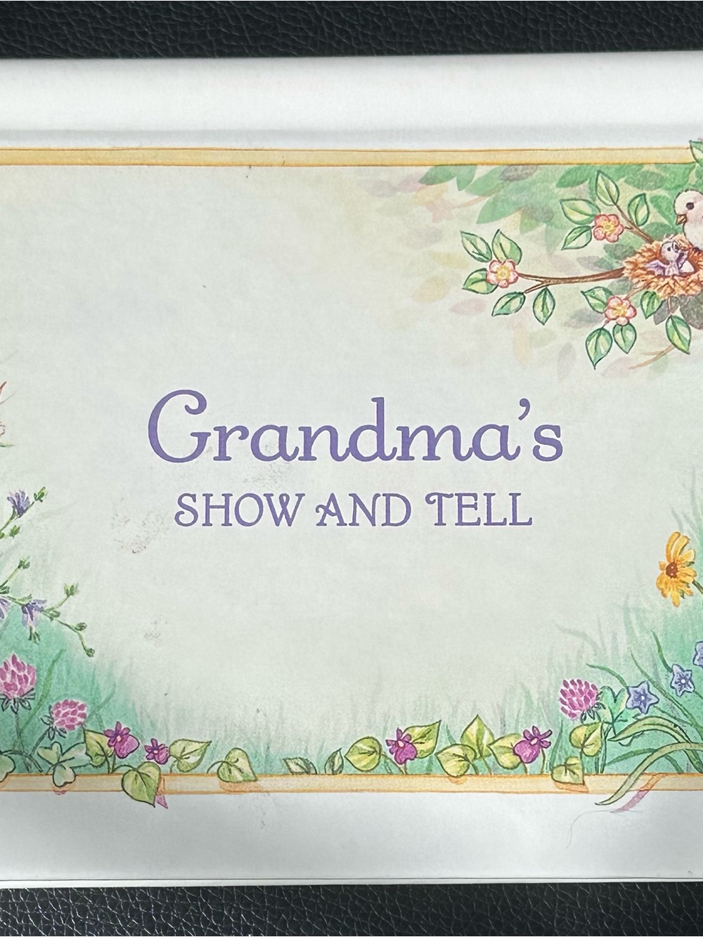 Vintage Hallmark Grandmothers Show and Tell Baby Photo Album Brag Book